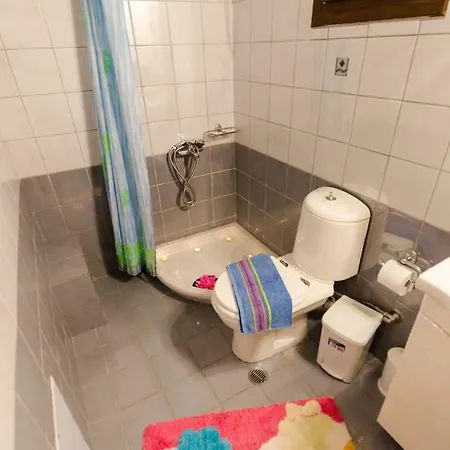 Lüks kamp alanı Vasiliki's House Tsagkarada
